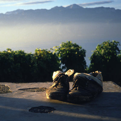 My grape-picking shoes, Lausanne, Switzerland, 1988