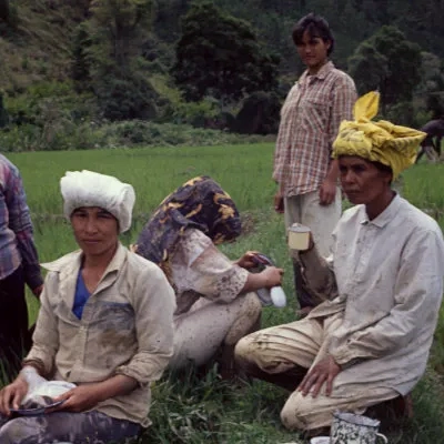 Padi field workers. The woman second from the left asked me to take the picture. I posted her a copy.