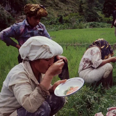 Padi field workers having lunch