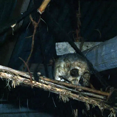 The last skull in a derelict longhouse